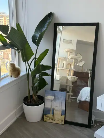 Zara Home Metal Frame Mirror, View more