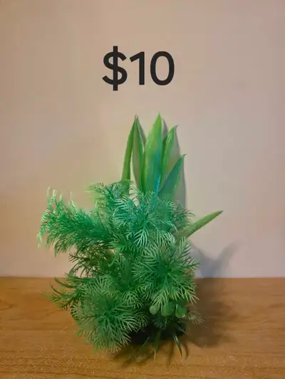 Aquarium Decor , View more