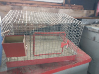 hamster cage