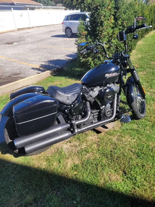 2019 harley davidson street bob in Street, Cruisers & Choppers in Windsor Region - Image 5