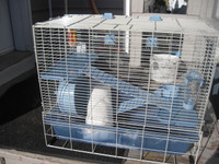 Hamster/ small pet starter kit; Cage is 14"W X 24"L X 20.5"H.