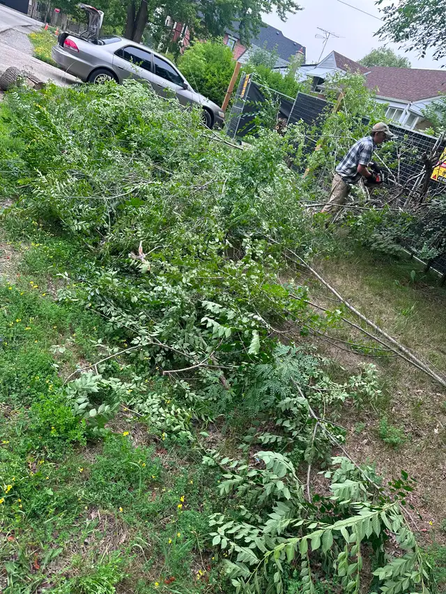 Spring/Summer yard work402405768331284481