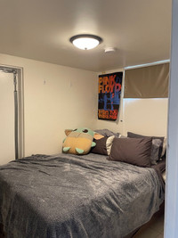 Furnished Solo Basement Unit for Student Sublet