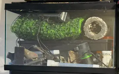 Free fish tank with accessories , View more