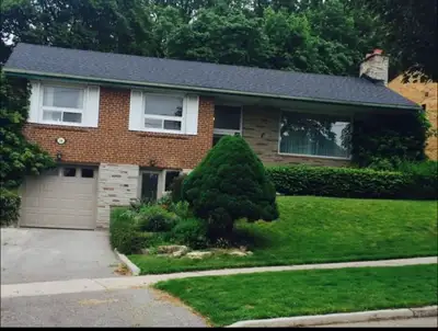 One bedroom bright basement Apartment