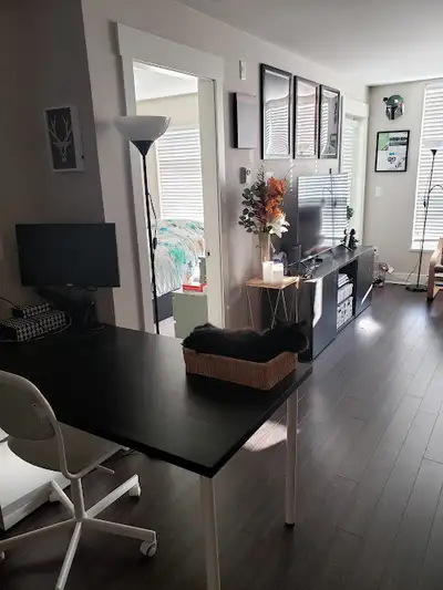 Cozy, new, clean and well maintained 1 bedroom in New West, Glen