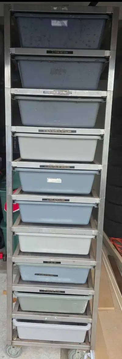 freedom breeder snake rack, View more