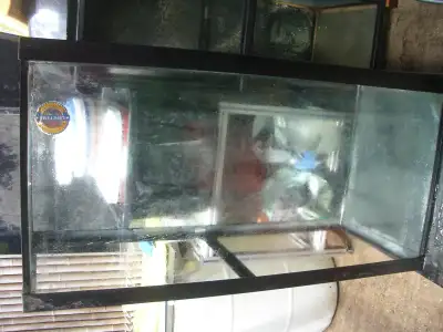 MOVING SALE 90 GALLON TANK AND LARGE CANISTER FILTER $200, View more