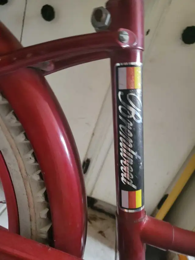 20 inch girls bike  in Kids in Windsor Region - Image 5