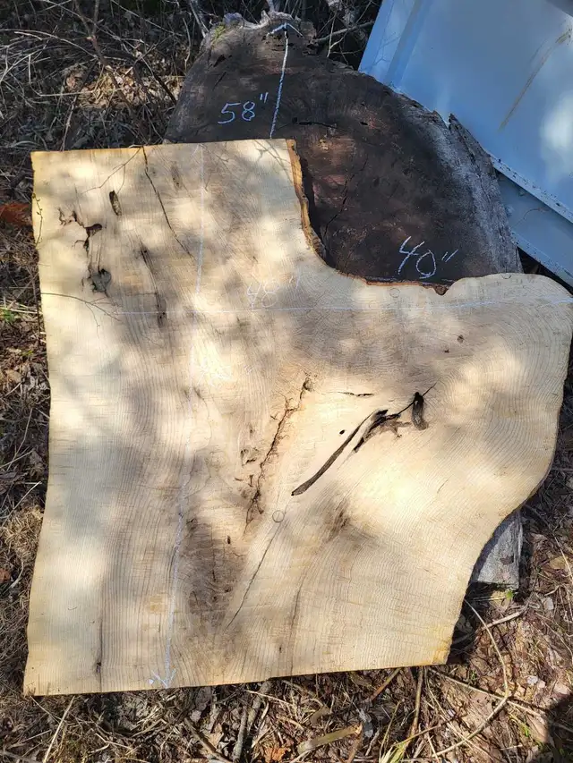 Various Live Edge Wooden Slabs in Other in Ottawa - Image 7