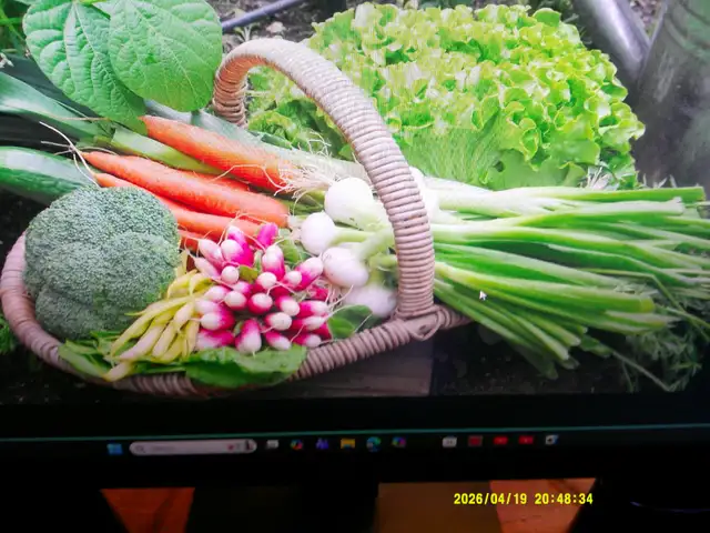 Garden design432473721254727681