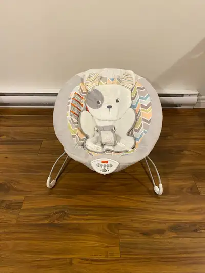 Fisher Price Bouncer, View more