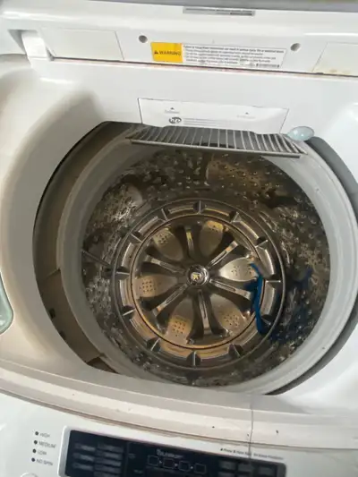 Laveuse blanche, View more