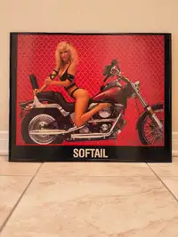 Harley-Davidson Softail Poster