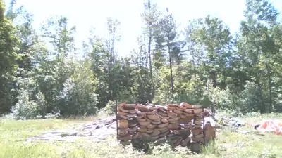 White pine slabwood from a small sawmill.Good wood for outdoor fire,campfire.our outdoor boiler.Dont...