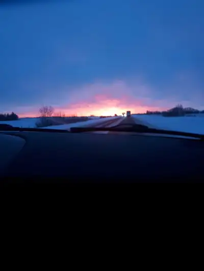 Looking for Work!!, View more