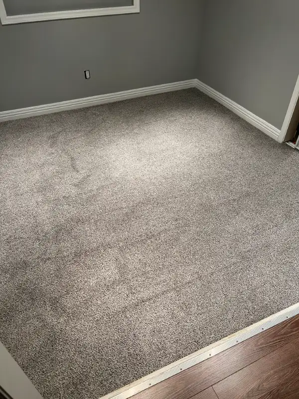 PRO CARPET INSTALLATION, SALES, AND REPAIR SERVICES 647-867-193862864357460994122