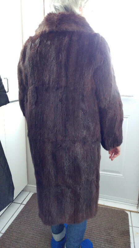 Luxurious brown  fur coat in Women's - Tops & Outerwear in Bathurst - Image 2