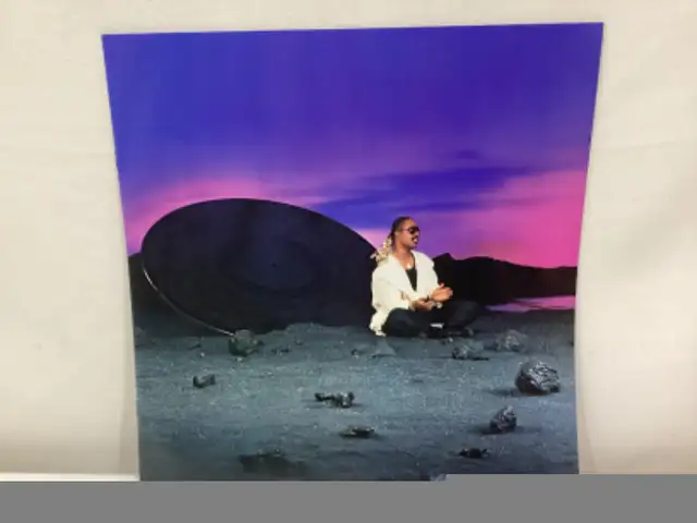 STEVIE WONDER (IN SQUARE CIRCLE) GATE-FOLD WITH BOOKLET VINYL LP in Arts & Collectibles in Winnipeg - Image 6