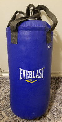 Everlast Punching Junior Heavy Bag  Blue 30 lb w/ Hanging Chains