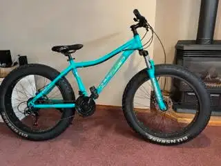For Sale New Adult Large Fat Tire Bike, Guns N Roses , 21 speed ,Disc Brakes , 26"x4" Rims ,Spring i...