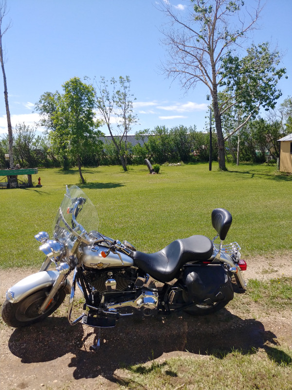 Harley Davidson in Sport Touring in Swift Current - Image 3