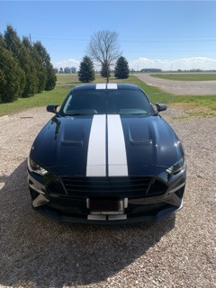 2018 Ford Mustang Eco boost in Cars & Trucks in Chatham-Kent