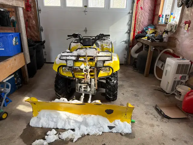 Four Wheeler with plow in ATVs in Ottawa - Image 3