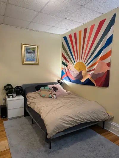 Suite 2. We are looking for one tenant in a four bedroom house. We live a five minute walk from Spri...