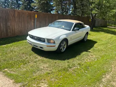 2008 mustang pony car V6 auto Ps pb ptop Runs good Good transmission Ac works good