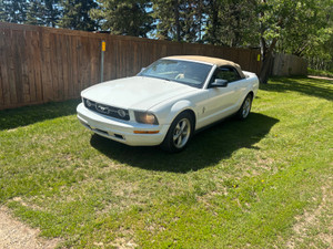 2008 Ford Mustang
