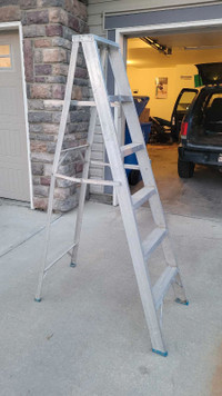Ladder 6ft with tray
