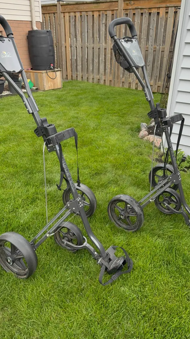 Push Golf Carts451655694486743041