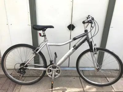 Vélo de montagne Infinity pour adulte, cadre 18", 21-vitesses, View more