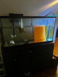 75 gallon tall full aquarium set up obo