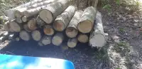 Ash lumber 