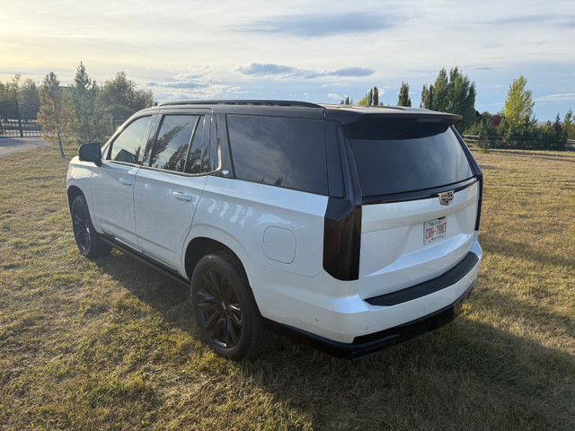 2023 Cadillac Escalade 4WD Sport - PRIVATE in Cars & Trucks in Calgary - Image 4