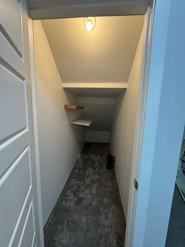 professional painters530755401202411527