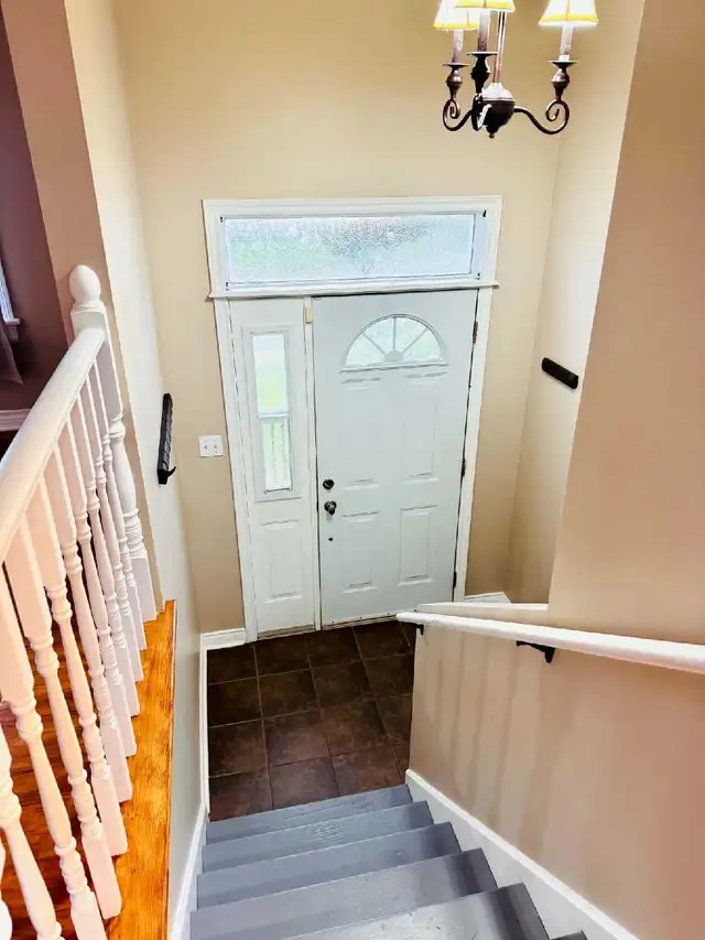 Detached House for Rent in Long Term Rentals in Dartmouth - Image 10