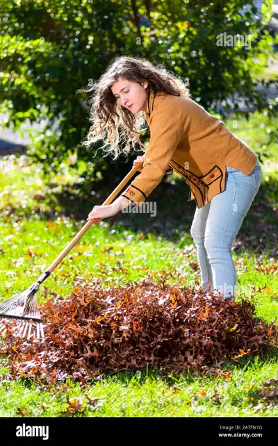 Yard clean up, spring cleaning, move outs., View more
