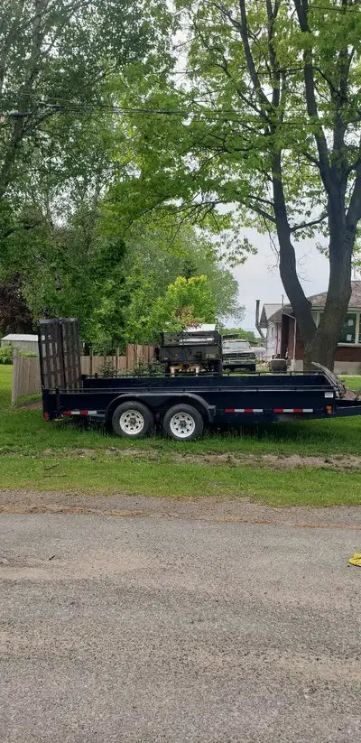 Tree arborist needed, View more