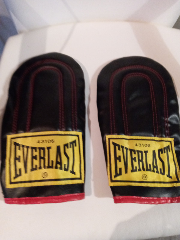 EVERLAST BOXING GLOVES and PUNCHING BAG in Exercise Equipment in City of Halifax - Image 2