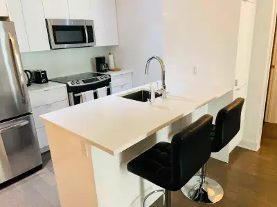 Furnished spacious 3 1/2 near Concordia, DT