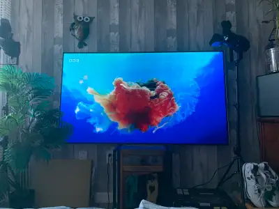 Amazing high quality oled smart tv - 65 inches Model# oled65b7p No remote or tv stand included, I’ve...