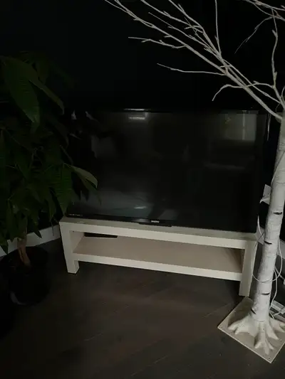 Sanyo Flat Screen TV + TV Stand - $60, View more