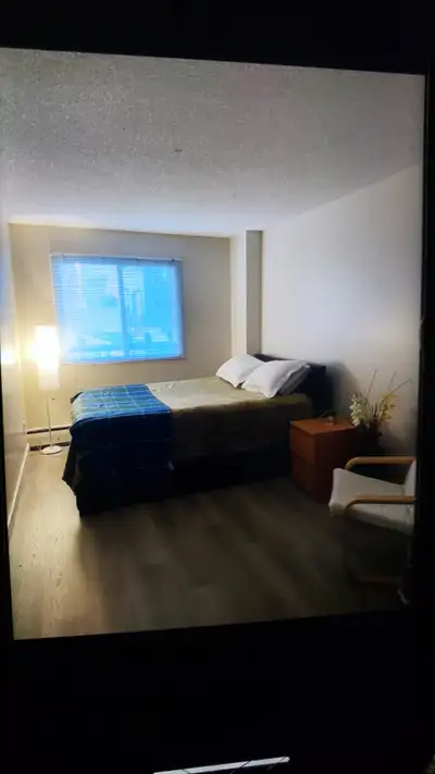 Room for Rent for female @ 8 th St. SW for 700/month