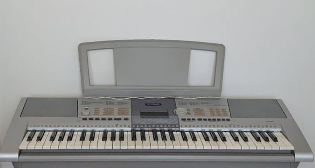Synthesizer Keyboard