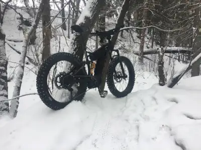 RARE - BULLS MONSTER EFS FULL SUSPENSION FATTIE EBIKE., View more
