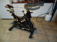 Bladez Master exercise bike in excellent shape