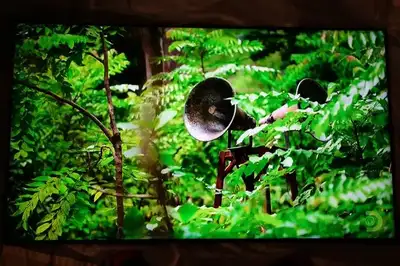 *** Samsung Neo QLED 55in 4K TV - QN90C *** Read! ***, View more